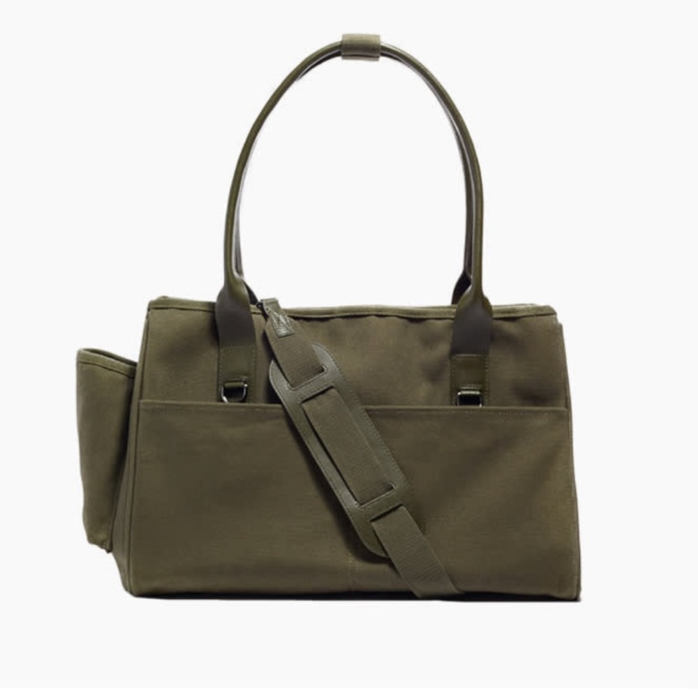 Italic - Everyday Pet Carrier - Green